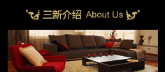 公司简介